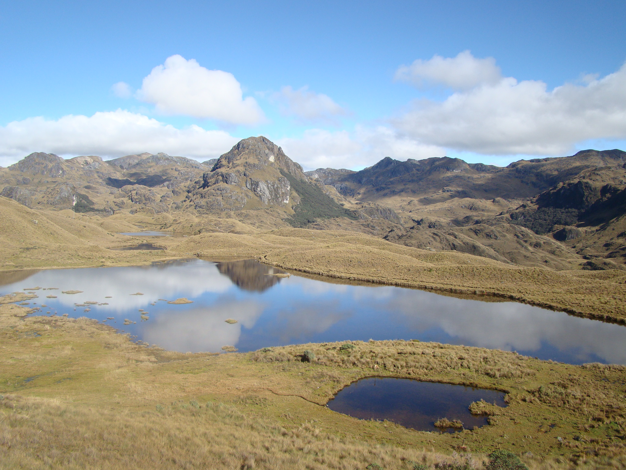 cajas