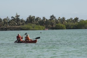 Kayak activities Santa Cruz Galapagos South Land Touring Ecuador