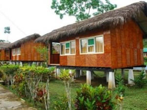 misahualli amazon lodge south land touring ecuador cabins