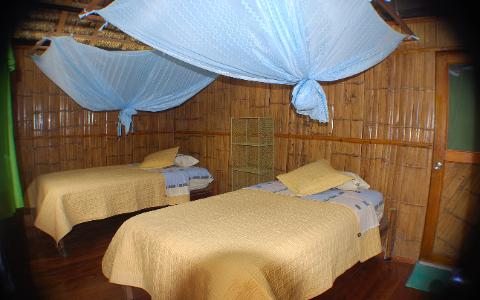 yacuma jungle lodge south land touring ecuador room