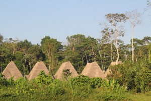 yasuni kichwa lodge south land touring ecuador  panoramic