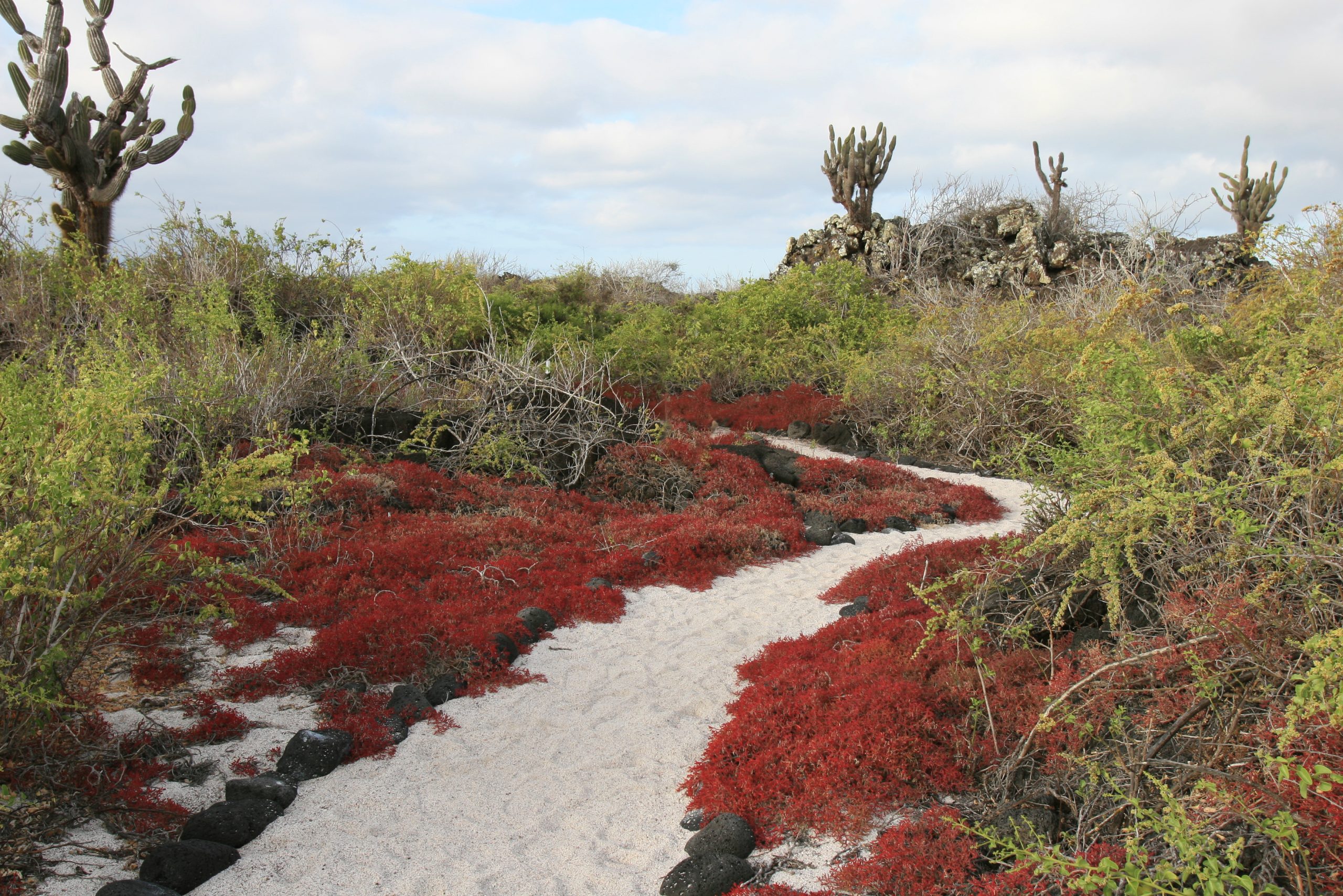 Galápagos53